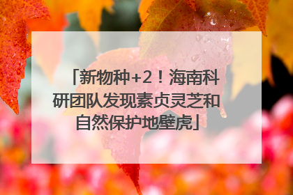 新物种+2！海南科研团队发现素贞灵芝和自然保护地壁虎