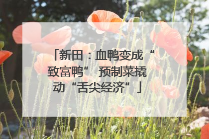 新田：血鸭变成“致富鸭” 预制菜撬动“舌尖经济”