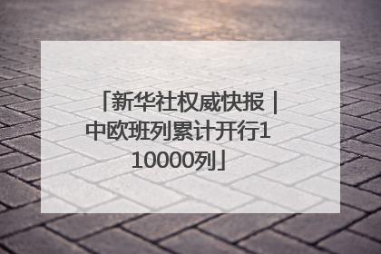 新华社权威快报｜中欧班列累计开行110000列