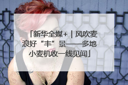 新华全媒+｜风吹麦浪好“丰”景——多地小麦机收一线见闻