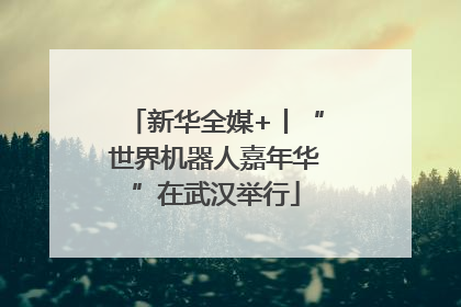 新华全媒+丨“世界机器人嘉年华”在武汉举行