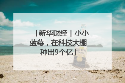 新华财经｜小小蓝莓，在科技大棚种出9个亿
