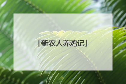 新农人养鸡记
