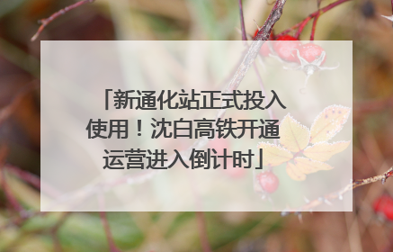 新通化站正式投入使用！沈白高铁开通运营进入倒计时