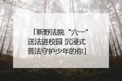 新野法院“六一”送法进校园 沉浸式普法守护少年的你