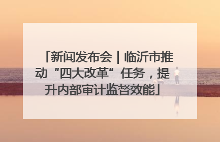 新闻发布会｜临沂市推动“四大改革”任务，提升内部审计监督效能