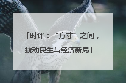 时评：“方寸”之间，撬动民生与经济新局