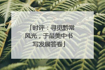 时评：寻觅黔常风光，于最美中书写发展答卷