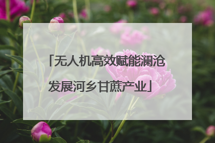 无人机高效赋能澜沧发展河乡甘蔗产业