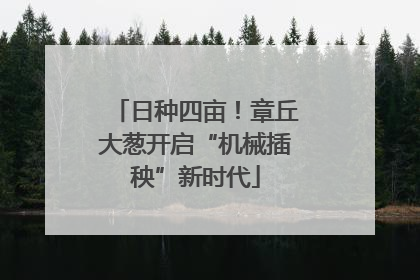 日种四亩！章丘大葱开启“机械插秧”新时代