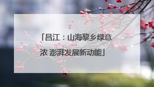 昌江：山海黎乡绿意浓 澎湃发展新动能