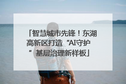 智慧城市先锋！东湖高新区打造“AI守护”基层治理新样板