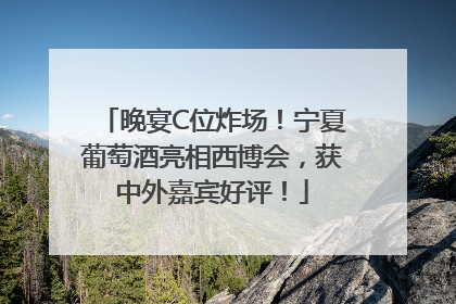 晚宴C位炸场！宁夏葡萄酒亮相西博会，获中外嘉宾好评！