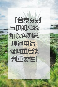 普京分别与伊朗总统和以色列总理通电话 强调重启谈判重要性