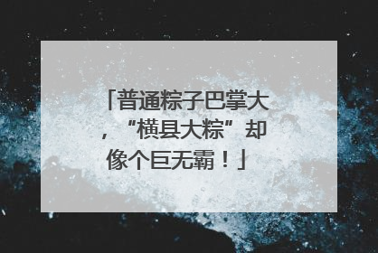 普通粽子巴掌大，“横县大粽”却像个巨无霸！