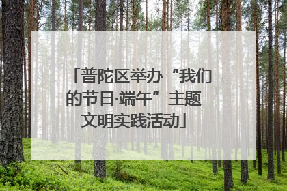 普陀区举办“我们的节日·端午”主题文明实践活动