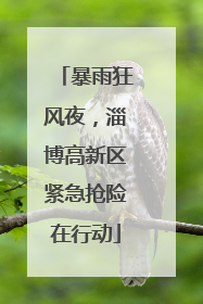 暴雨狂风夜，淄博高新区紧急抢险在行动