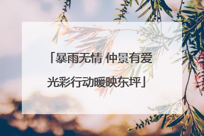暴雨无情 仲景有爱 光彩行动暖映东坪
