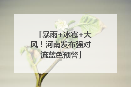 暴雨+冰雹+大风！河南发布强对流蓝色预警