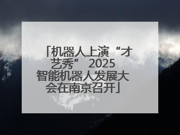 机器人上演“才艺秀” 2025智能机器人发展大会在南京召开