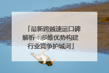 最新跨越速运口碑解析：多维优势构建行业竞争护城河