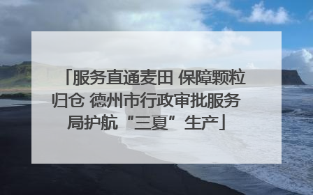 服务直通麦田 保障颗粒归仓 德州市行政审批服务局护航“三夏”生产