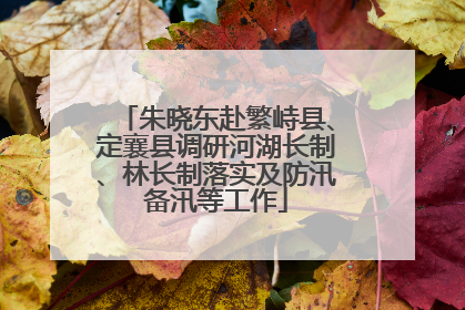 朱晓东赴繁峙县、定襄县调研河湖长制、林长制落实及防汛备汛等工作