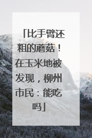 比手臂还粗的蘑菇！在玉米地被发现，柳州市民：能吃吗