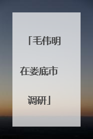 毛伟明在娄底市调研