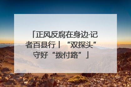 正风反腐在身边·记者百县行丨“双探头”守好“拨付路”
