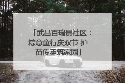 武昌百瑞景社区：粽意童行庆双节 护苗传承筑家园