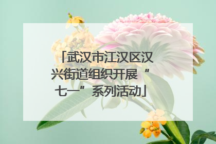 武汉市江汉区汉兴街道组织开展“七一”系列活动