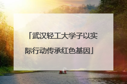 武汉轻工大学子以实际行动传承红色基因