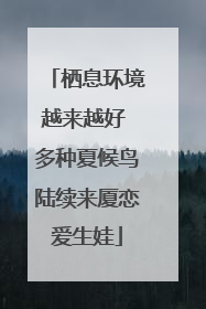 栖息环境越来越好 多种夏候鸟陆续来厦恋爱生娃