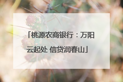 桃源农商银行：万阳云起处 信贷润春山