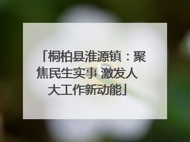 桐柏县淮源镇：聚焦民生实事 激发人大工作新动能