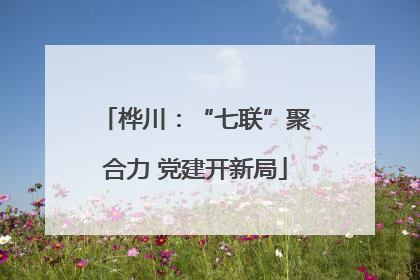 桦川：“七联”聚合力 党建开新局