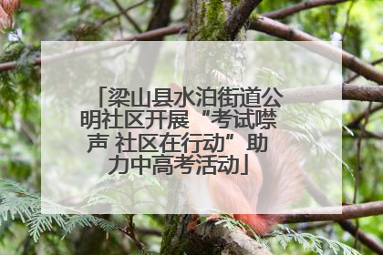 梁山县水泊街道公明社区开展“考试噤声 社区在行动”助力中高考活动