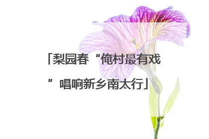 梨园春“俺村最有戏”唱响新乡南太行