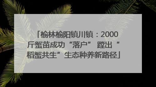 榆林榆阳镇川镇：2000斤蟹苗成功“落户” 蹚出“稻蟹共生”生态种养新路径