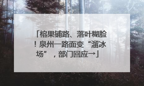 榕果铺路、落叶糊脸！泉州一路面变“溜冰场”，部门回应→