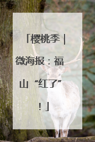 樱桃季｜微海报：福山“红了”！