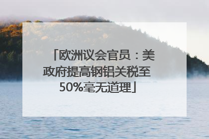 欧洲议会官员：美政府提高钢铝关税至50%毫无道理