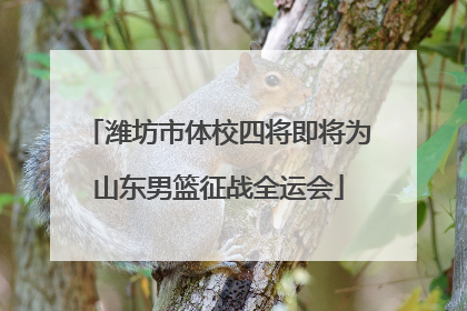 潍坊市体校四将即将为山东男篮征战全运会