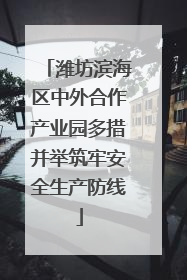 潍坊滨海区中外合作产业园多措并举筑牢安全生产防线