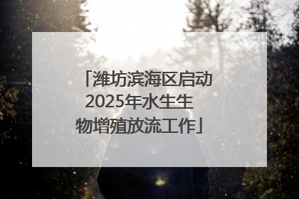 潍坊滨海区启动2025年水生生物增殖放流工作