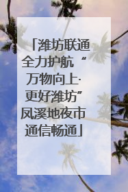 潍坊联通全力护航“万物向上·更好潍坊”凤溪地夜市通信畅通