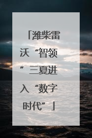 潍柴雷沃“智领”三夏进入“数字时代”