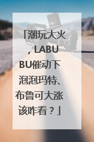 潮玩大火，LABUBU催动下泡泡玛特、布鲁可大涨该咋看？