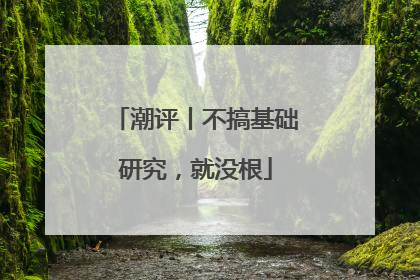 潮评丨不搞基础研究，就没根